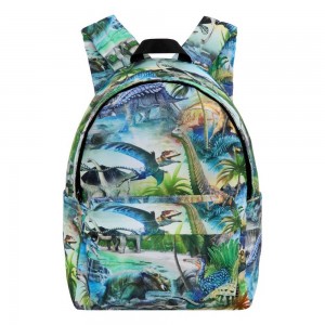 Bags Molo Backpack Mio Dino Fantastic | PL0000901