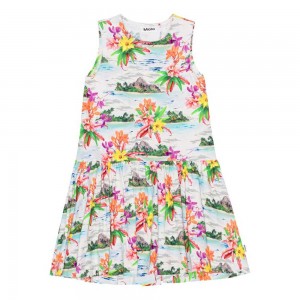 Dresses Dziewczynka Molo Candece Tropical Islands | PL0000229