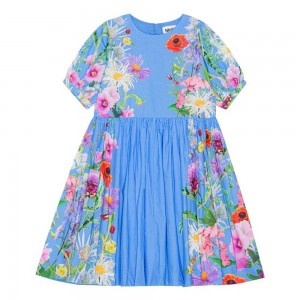 Dresses Dziewczynka Molo Casey Blue Garden | PL0000245