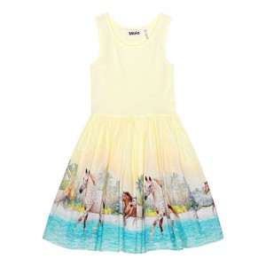 Dresses Dziewczynka Molo Cassandra Beach Horses | PL0000238