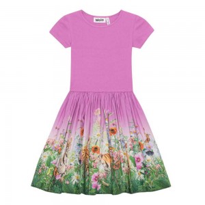 Dresses Dziewczynka Molo Cissa Four Little Cubs | PL0000250