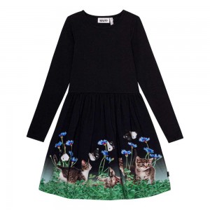 Dresses Dziewczynka Molo Credence Yin Yang Kitten | PL0000275