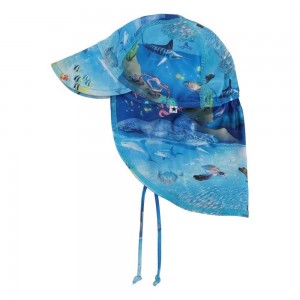 Hats & Caps Molo Nando Ocean Zones | PL0000939