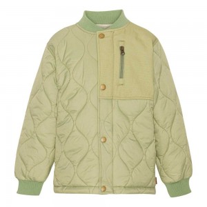 Jackets & Coats Molo Harold Sage | PL0000041