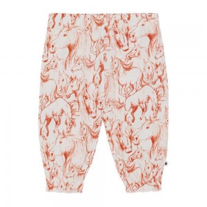 Pants Jeans Dziewczynka Molo Selena Red Horses | PL0001384