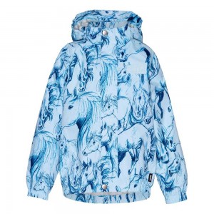 Rainwear Molo Waiton Sky Blue Horses | PL0000070