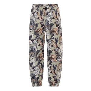 Rainwear Molo Waits Pups Camo | PL0000096