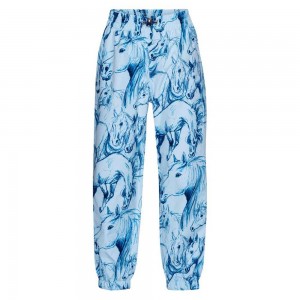 Rainwear Molo Waits Sky Blue Horses | PL0000068