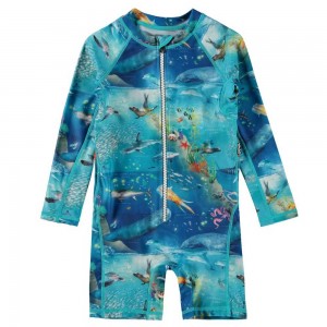 Rash guard suits Molo Neka LS Ocean Zones | PL0001064