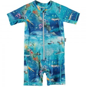 Rash guard suits Molo Neka Ocean Zones | PL0001063