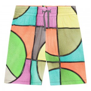 Shorts Chłopięce Molo Alim Basket Colour | PL0000694