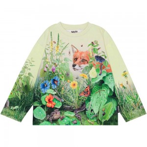 Sweatshirts Cardigans Chłopięce Molo Mountoo Wild Garden | PL0000754