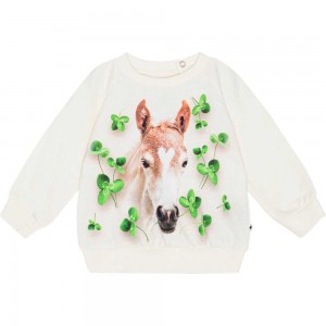 Sweatshirts Cardigans Dziewczynka Molo Disc Clover Foal | PL0001406