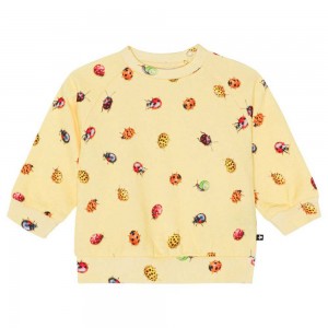 Sweatshirts Cardigans Dziewczynka Molo Disc Coccinella | PL0001402