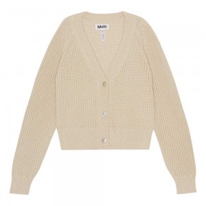 Sweatshirts Cardigans Dziewczynka Molo Gilberta Summer Sand | PL0000306