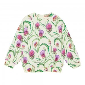 Sweatshirts Cardigans Dziewczynka Molo Marika Artichoke | PL0000470