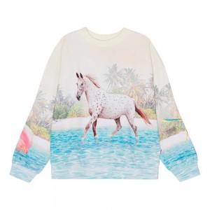 Sweatshirts Cardigans Dziewczynka Molo Maxi Island Horse | PL0000469