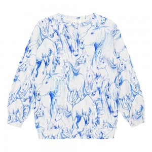 Sweatshirts Cardigans Dziewczynka Molo Monti Blue Horses | PL0000480