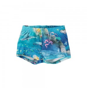 Swimshorts Molo Nansen Ocean Zones | PL0001138