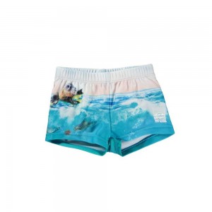 Swimshorts Molo Nansen Sealion | PL0001115