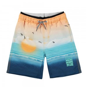 Swimshorts Molo Neal Sunset Beach | PL0001147