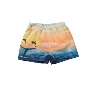 Swimshorts Molo Newton Ocean Smile | PL0001149