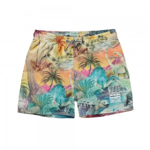 Swimshorts Molo Niko Dino Paradis | PL0001132