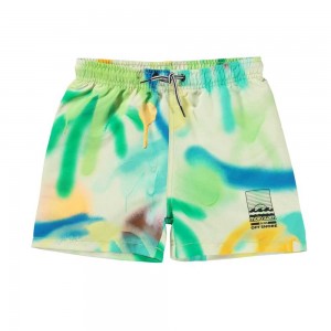 Swimshorts Molo Niko Palmtree Spray | PL0001110