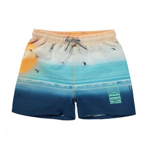 Swimshorts Molo Niko Sunset Beach | PL0001145