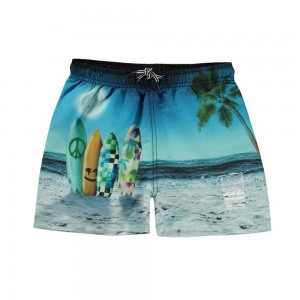 Swimshorts Molo Niko Sunset Surfer | PL0001121