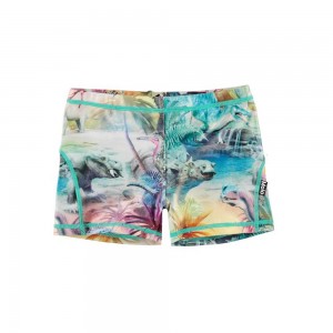 Swimshorts Molo Norton Dino Paradis | PL0001133