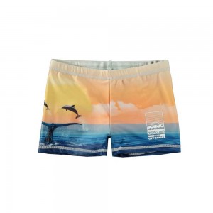 Swimshorts Molo Norton Placed Ocean Smile | PL0001144