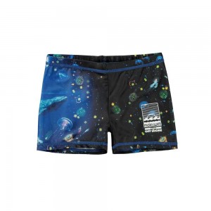 Swimshorts Molo Norton Placed Plankton | PL0001151