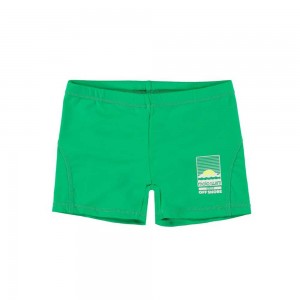 Swimshorts Molo Norton Solid Bright Green | PL0001109