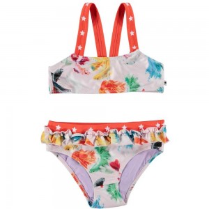 Swimsuits Molo Naila Betta Flowers | PL0001195