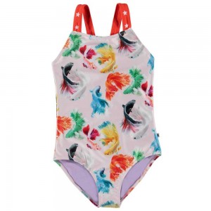 Swimsuits Molo Nakia Betta Flowers | PL0001197