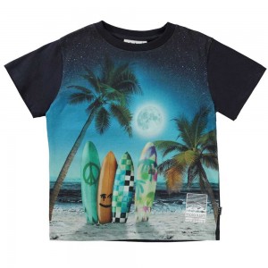 T Shirts Tops Chłopięce Molo Rame Sunset Surfer | PL0000628