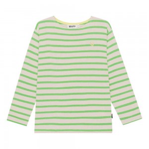 T Shirts Tops Chłopięce Molo Rilder Grass Stripe | PL0000833