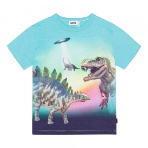 T Shirts Tops Chłopięce Molo Riley Beaming Dinos | PL0000829