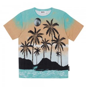 T Shirts Tops Chłopięce Molo Riley Holiday Island | PL0000778