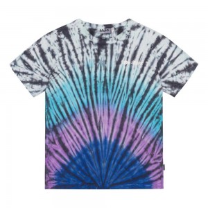 T Shirts Tops Chłopięce Molo Riley Lit Dye | PL0000851