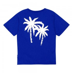 T Shirts Tops Chłopięce Molo Riley Reef Blue | PL0000770