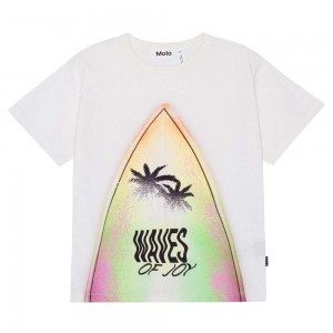 T Shirts Tops Chłopięce Molo Riley Surfboard | PL0000813