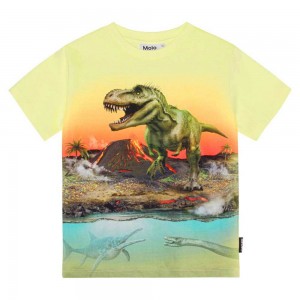 T Shirts Tops Chłopięce Molo Riley Volcano Dino | PL0000808