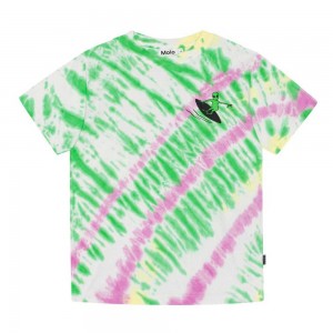 T Shirts Tops Chłopięce Molo Rodney Green Helio Dye | PL0000816