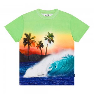 T Shirts Tops Chłopięce Molo Roxo Green Sunset | PL0000771