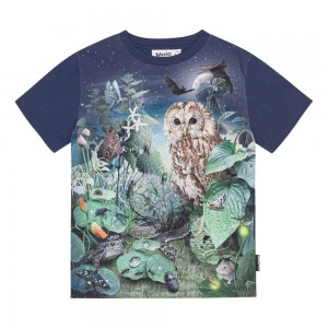 T Shirts Tops Chłopięce Molo Roxo Night Garden | PL0000826