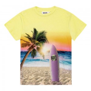 T Shirts Tops Chłopięce Molo Roxo Sunset Surf | PL0000776