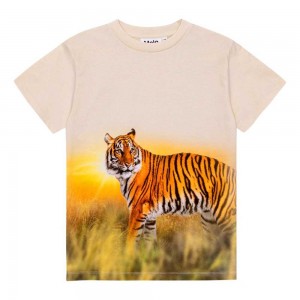 T Shirts Tops Chłopięce Molo Roxo Tiger Sand | PL0000855