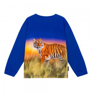 T Shirts Tops Chłopięce Molo Rube Tiger Reef | PL0000856